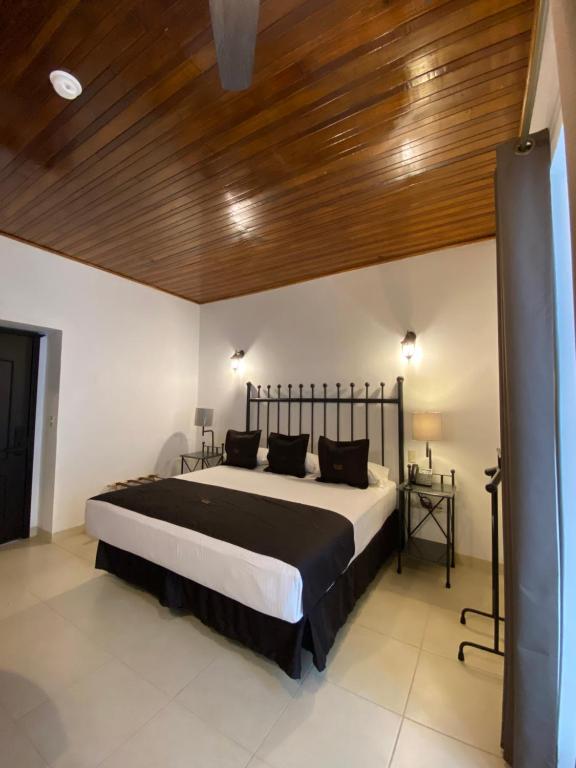 Postel nebo postele na pokoji v ubytování Hotel Plata Condesa
