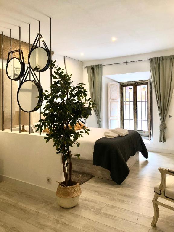 sypialnia z łóżkiem i doniczką w obiekcie ApARTment Madrid w Madrycie