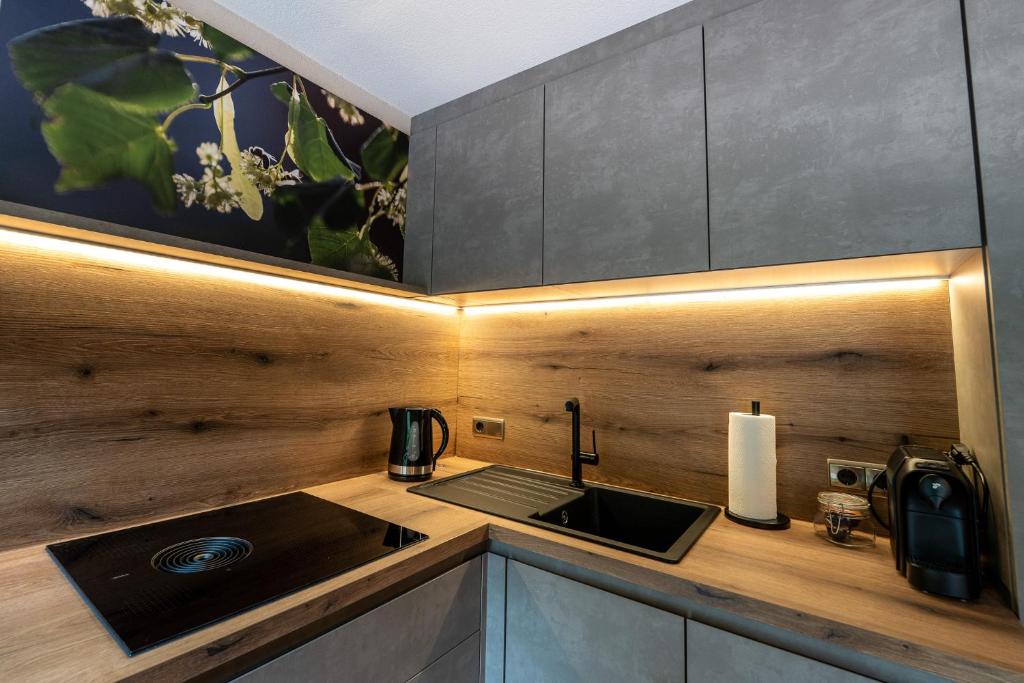 Köök või kööginurk majutusasutuses Das Lindtal - Appartements