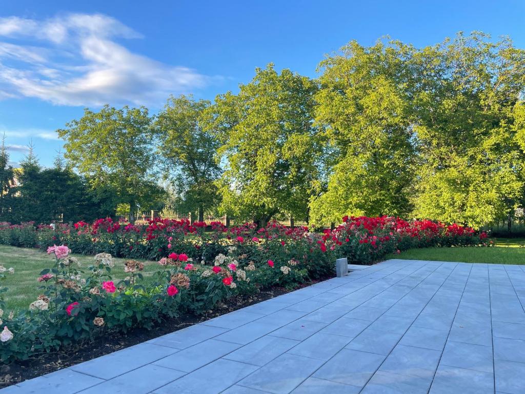 Dom wycieczkowy Zacisze - 19