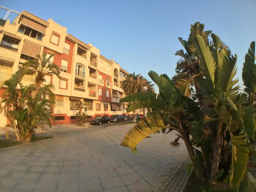 una calle vacía con palmeras y edificios en Apartamento Playa Calahonda El Farillo con terraza, en Calahonda