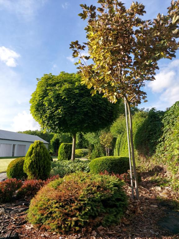 Dom wycieczkowy Zacisze - 18