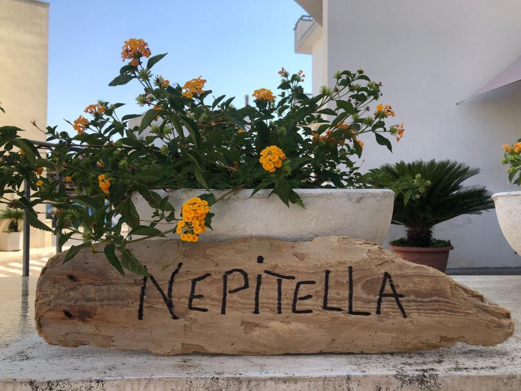 NEPITELLA Casa Vacanze - Housity