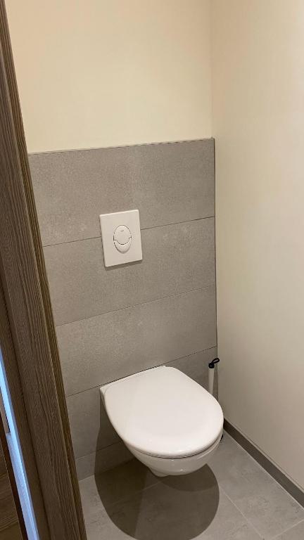 Koupelna v ubytování Appartement Le Grand Duc