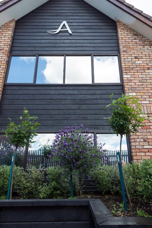 Arista of Rotorua - Resim 17