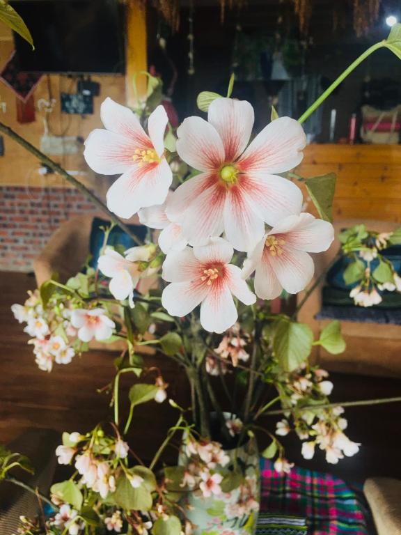 Hmong house Sapa - 13