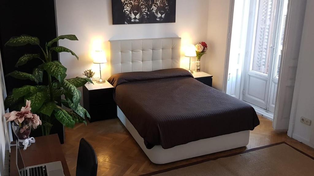 ein Schlafzimmer mit einem Bett, zwei Tischen und einer Pflanze in der Unterkunft Madrid, C. Mayor in Madrid