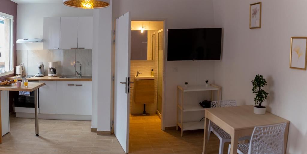 Kuchyňa alebo kuchynka v ubytovaní LOC TROTTEUR LE PIVOINE Studio Grand confort, Gare SNCF de Lourdes