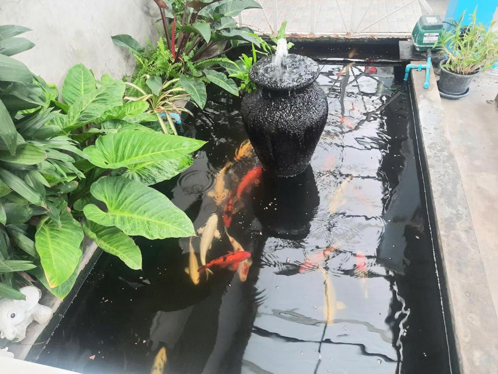 Fancy Carp Resort Hua-Hin - Resim 17