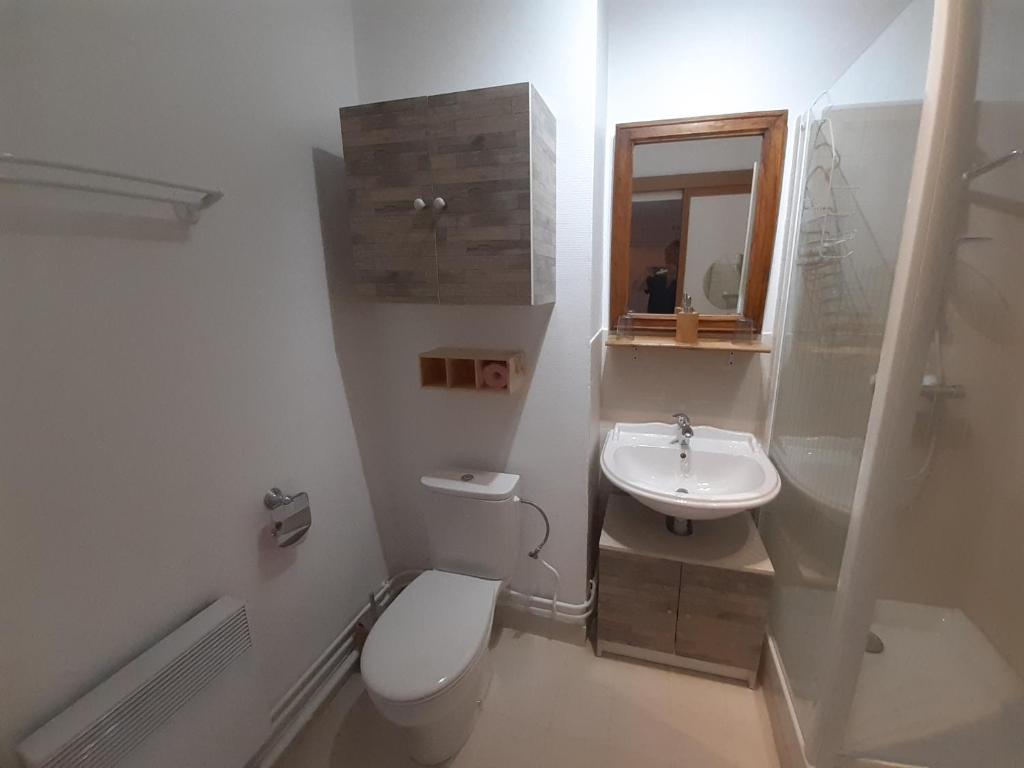małą łazienkę z toaletą i umywalką w obiekcie A stondeta w Beauvais