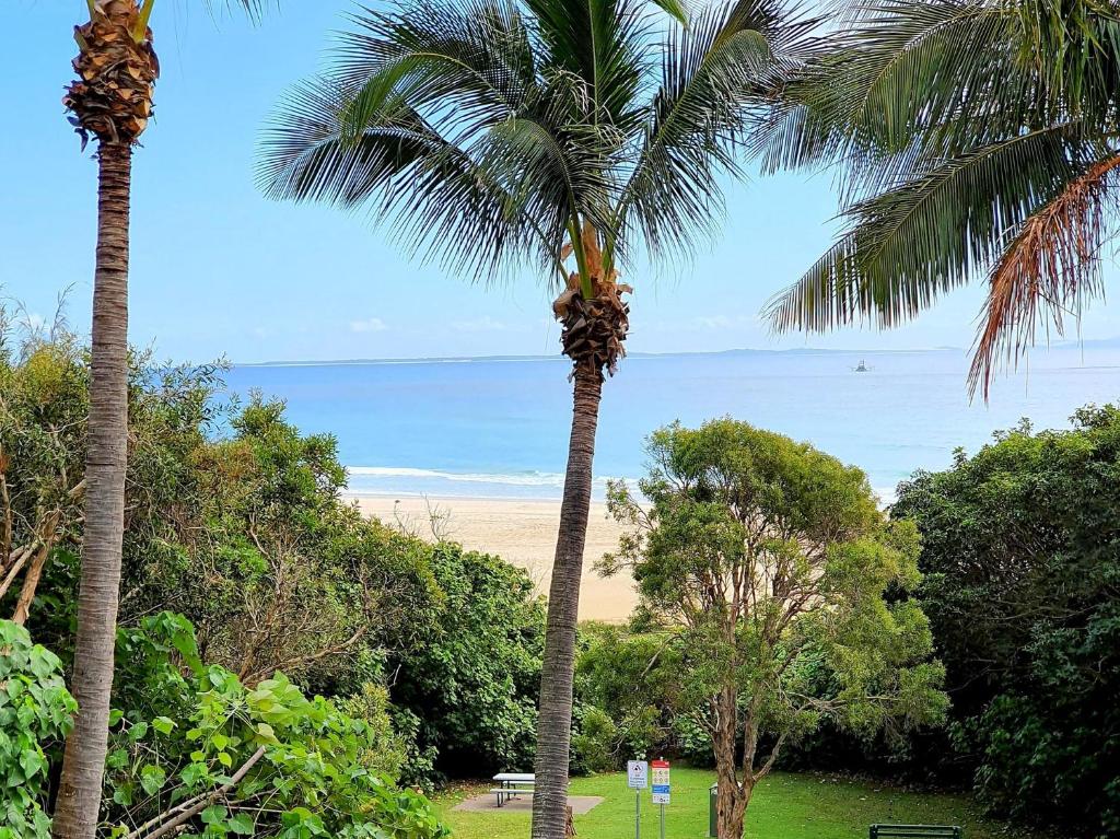 duas palmeiras com uma praia ao fundo em Mooloomba Two em Point Lookout
