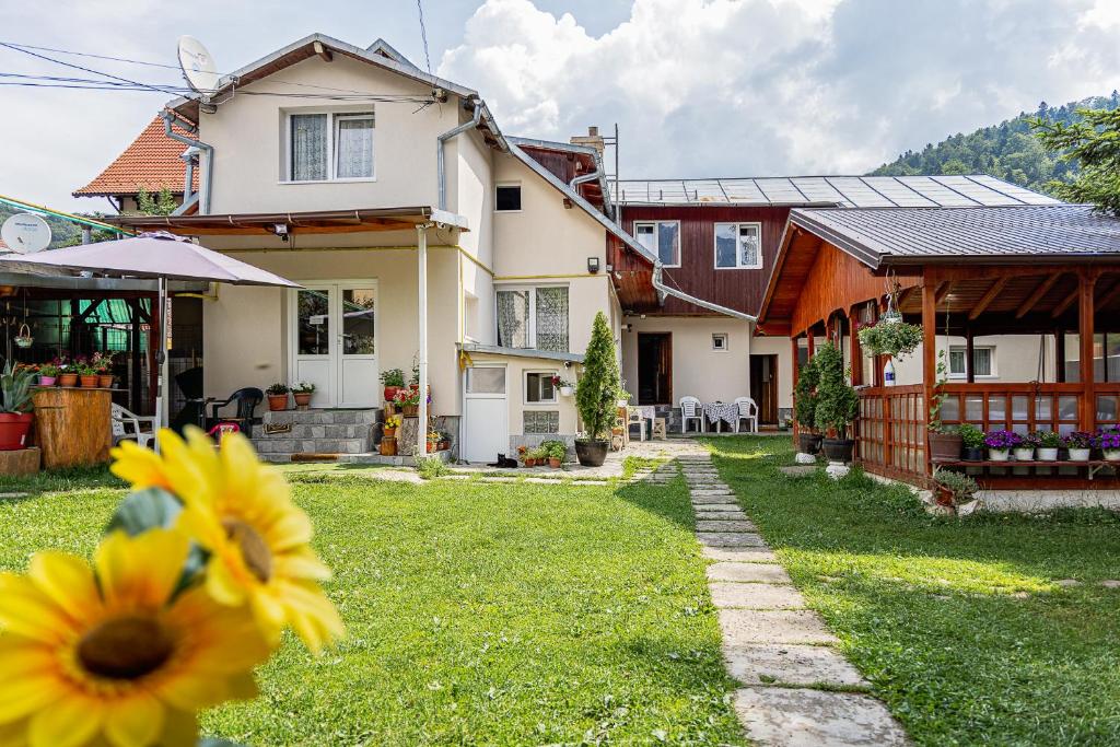 a house with a yellow flower in the yard at Pensiunea Montan Busteni in Buşteni