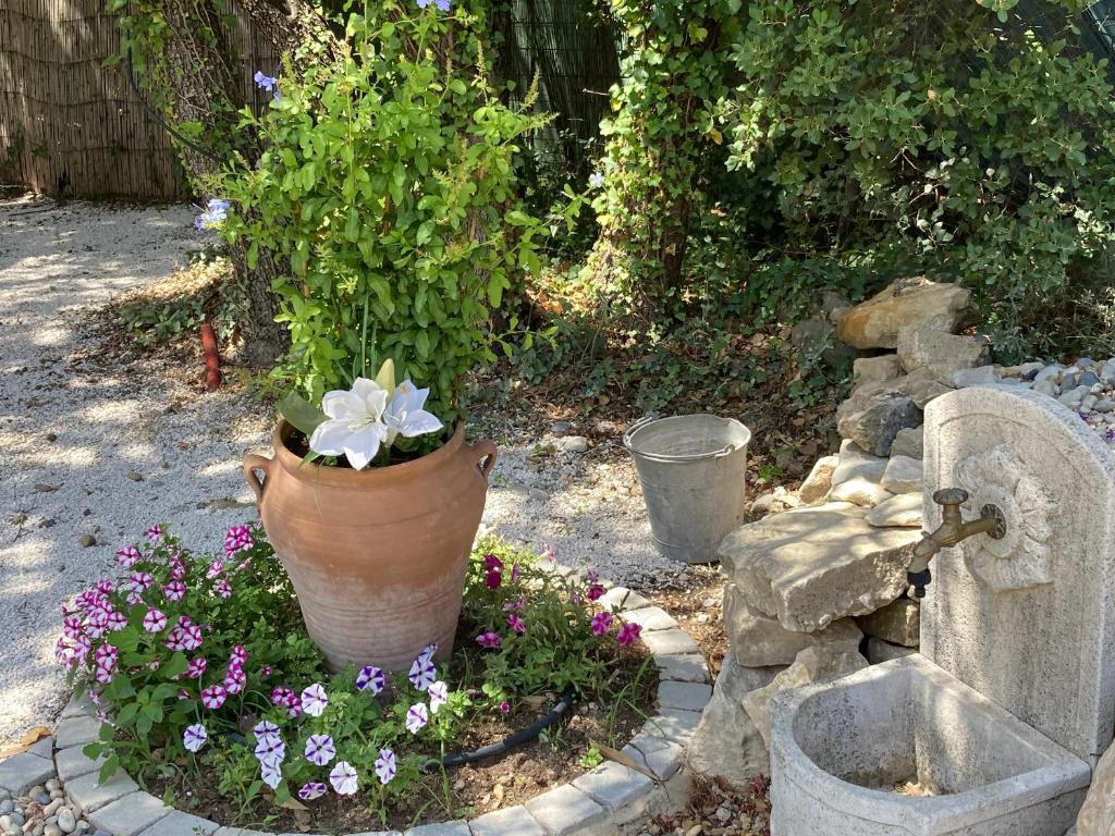 Zahrada ubytování L'Enclos