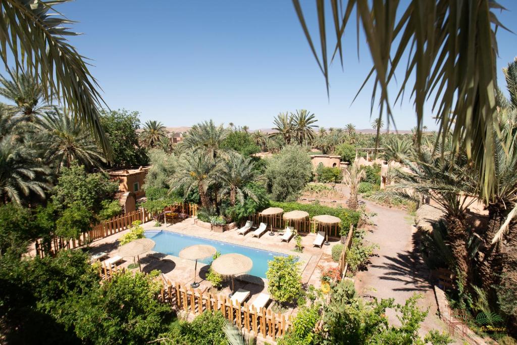 an image of a resort with a swimming pool and palm trees at Ecolodge La Palmeraie in Ouarzazate