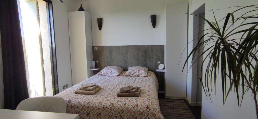 Maison d'hôtes Coeur d'Hérault - Gîte et Chambres d'hôtes - SPA & Massages - Habitación Doble De Lujo Con Ducha
