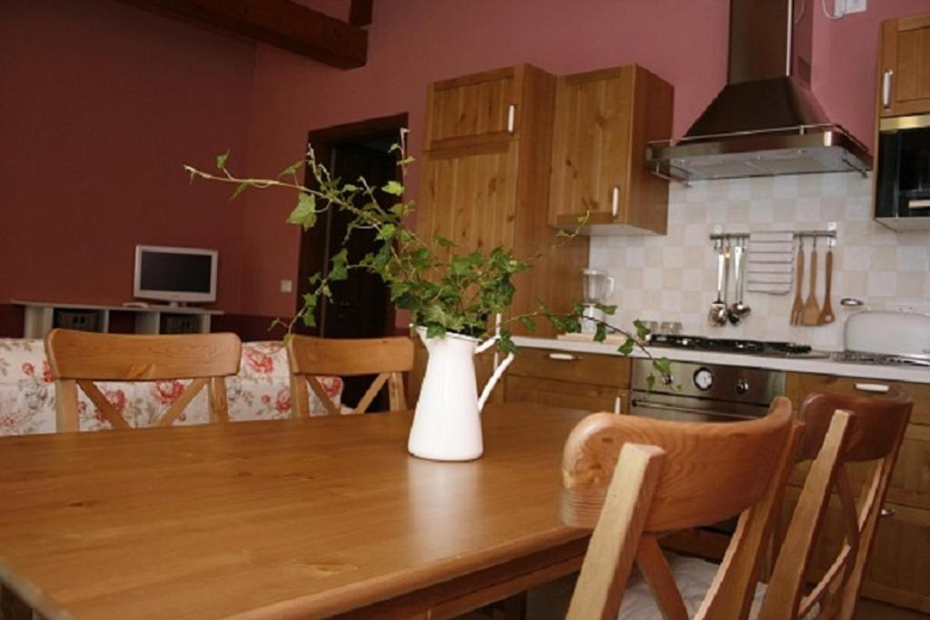 Kuchyň nebo kuchyňský kout v ubytování Particolari del Brenta