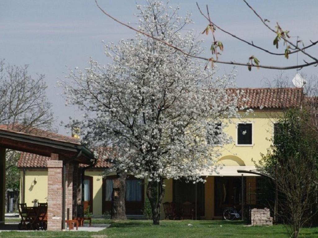 uma árvore florida em frente a uma casa em Particolari del Brenta em Oriago Di Mira