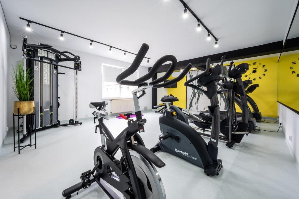 Fitness centrum a/nebo fitness zařízení v ubytování Hotel Jan