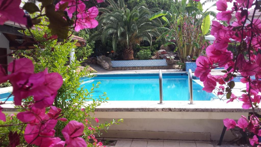una piscina en un jardín con flores rosas en B&B Il Resort Dell'Artista en Venetico