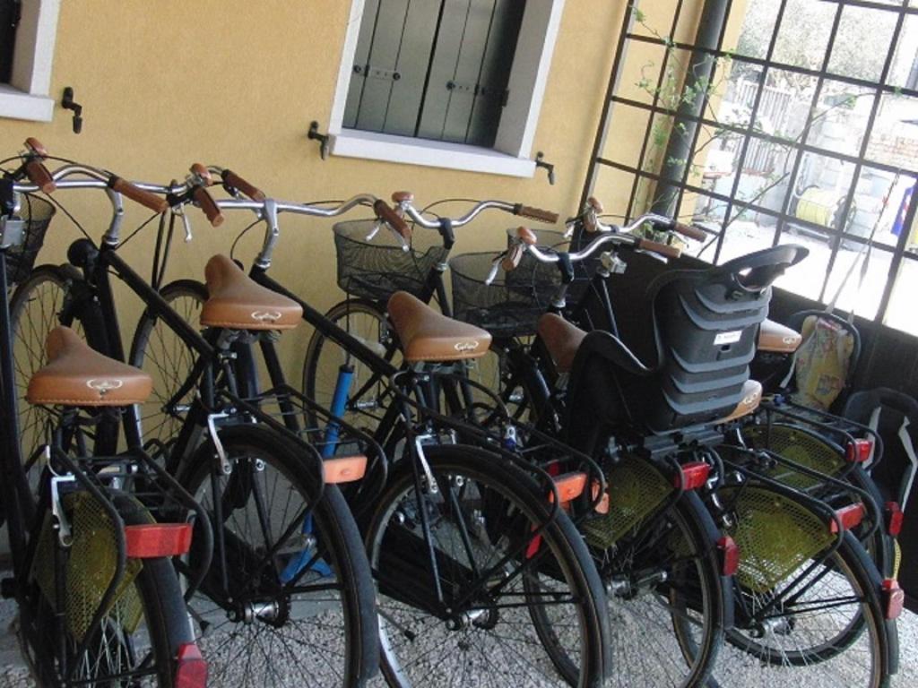 Jízda na kole v ubytování Particolari del Brenta nebo okolí