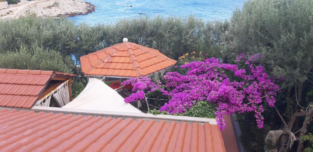 ein Baum mit lila Blumen auf dem Dach in der Unterkunft Apartments Luka in Sevid