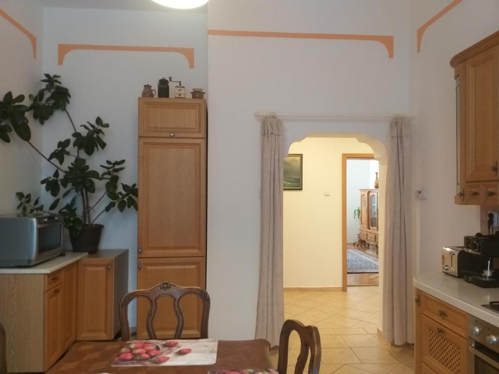 Kuchyň nebo kuchyňský kout v ubytování Apartmán Kraslice
