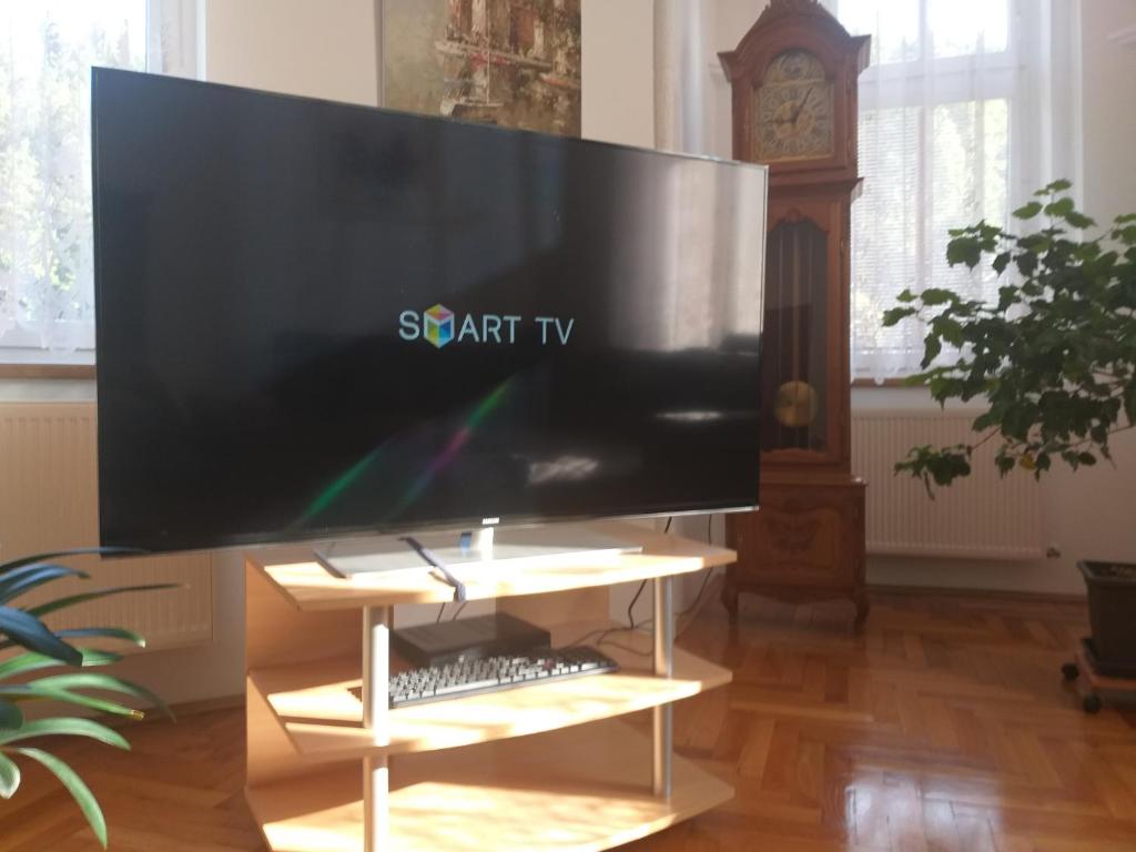 TV a/nebo společenská místnost v ubytování Apartmán Kraslice