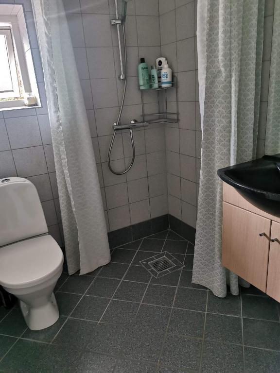 e bagno con servizi igienici, doccia e lavandino. di Kørestolsvenligt dbl. vær. a Nykøbing Mors