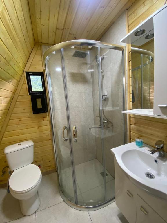 a bathroom with a shower and a toilet and a sink at Labna Huts in Mestia