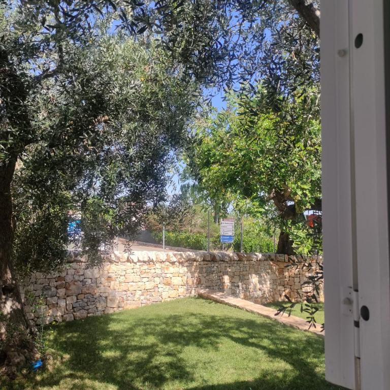 Trulli sull'Aia San Michele - Large Double Room