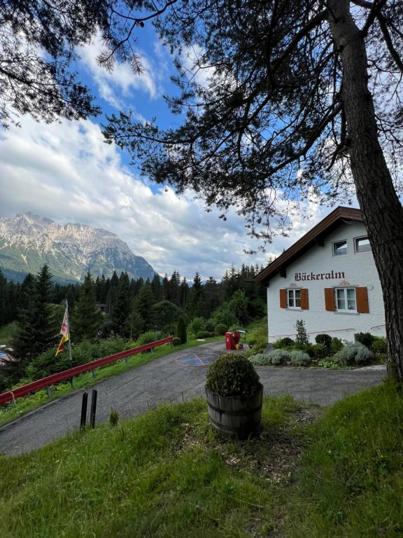 a building on the side of a road with a tree at Bäckeralm© - B&B 16 + in Mittenwald