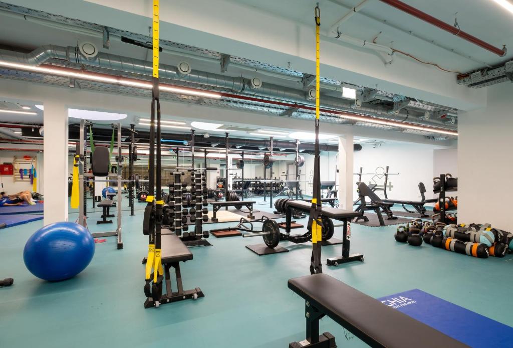 Akademis Academia - 4