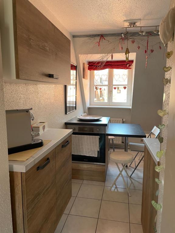 Aux petits cœurs de Colmar PETITE VENISE – photo 31