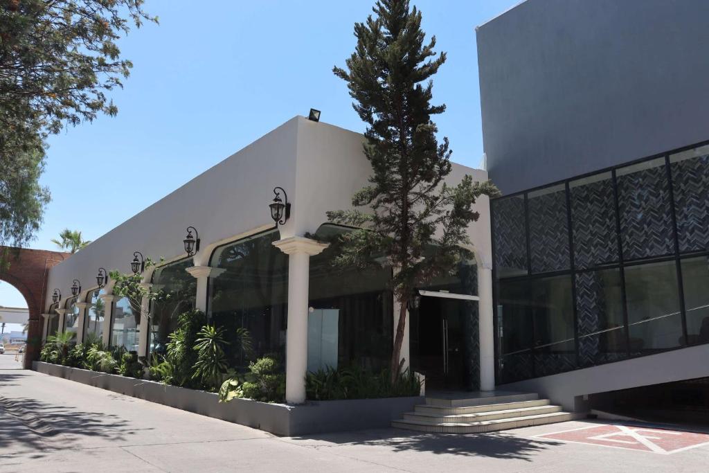 un edificio con un árbol delante de él en Wyndham Garden Aguascalientes Hotel & Casino, en Aguascalientes