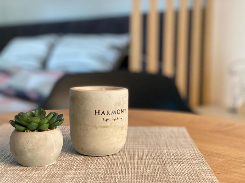 a candle sitting on a table next to a plant at Artatore24 - Modern and stylish Apartments in Mali Lošinj
