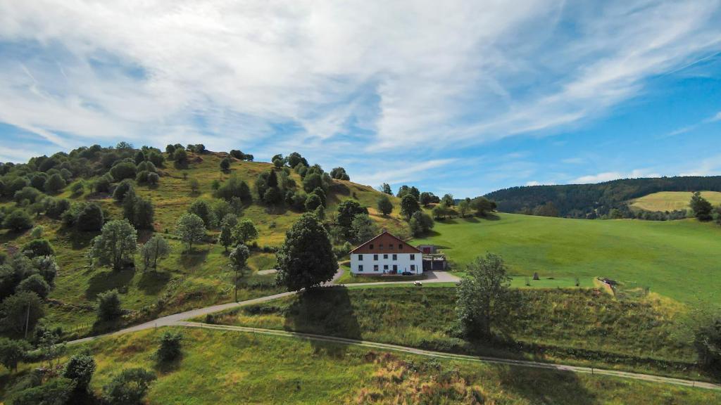 a house on top of a green hill at Gîtes de Moyenmont in La Bresse