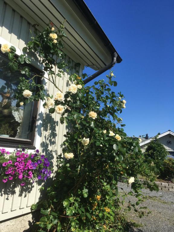 Zahrada ubytování AirbnbEkåsberg