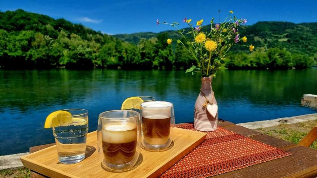 Příroda nedaleko prázdninového domu