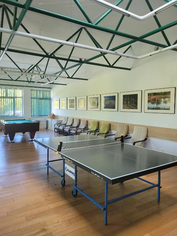 Stolní tenis v ubytování Damroka nebo okolí