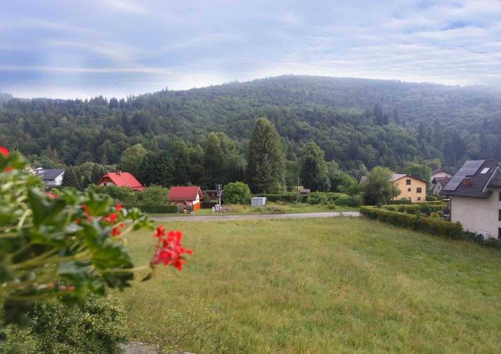 Příroda nedaleko penzionu