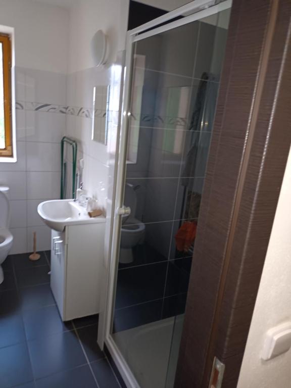 Koupelna v ubytování Vila Pavlínka apartmány Losiny