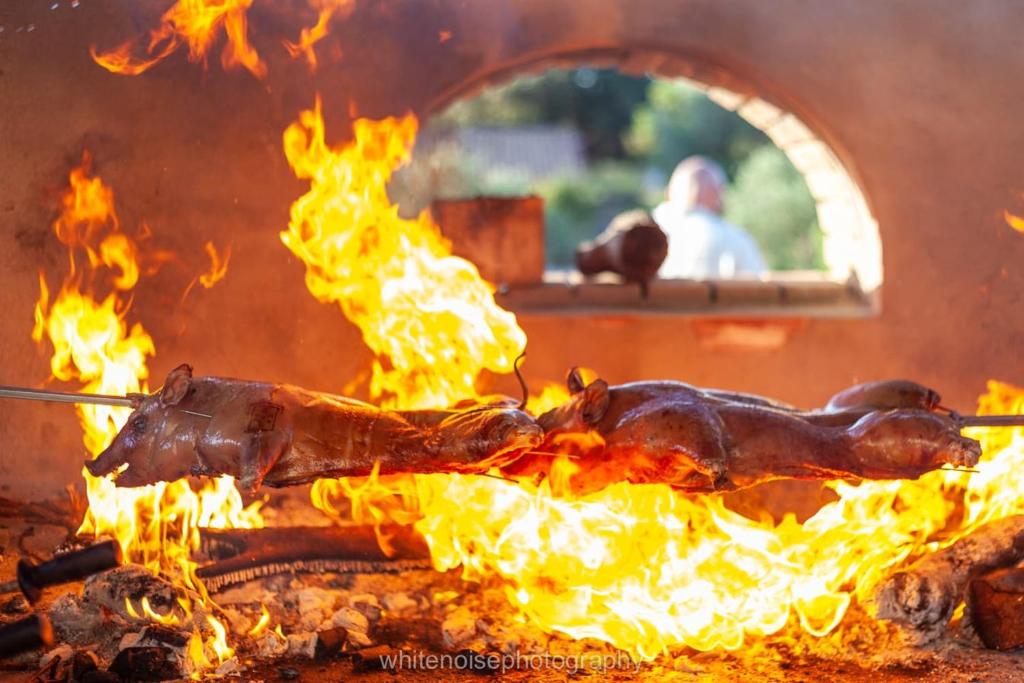 La Quercia della Gallura