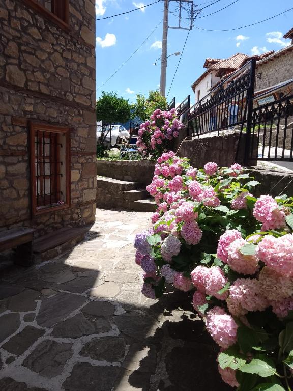 Fotografie z fotogalerie ubytování Arka Metsovo v destinaci Metsovo