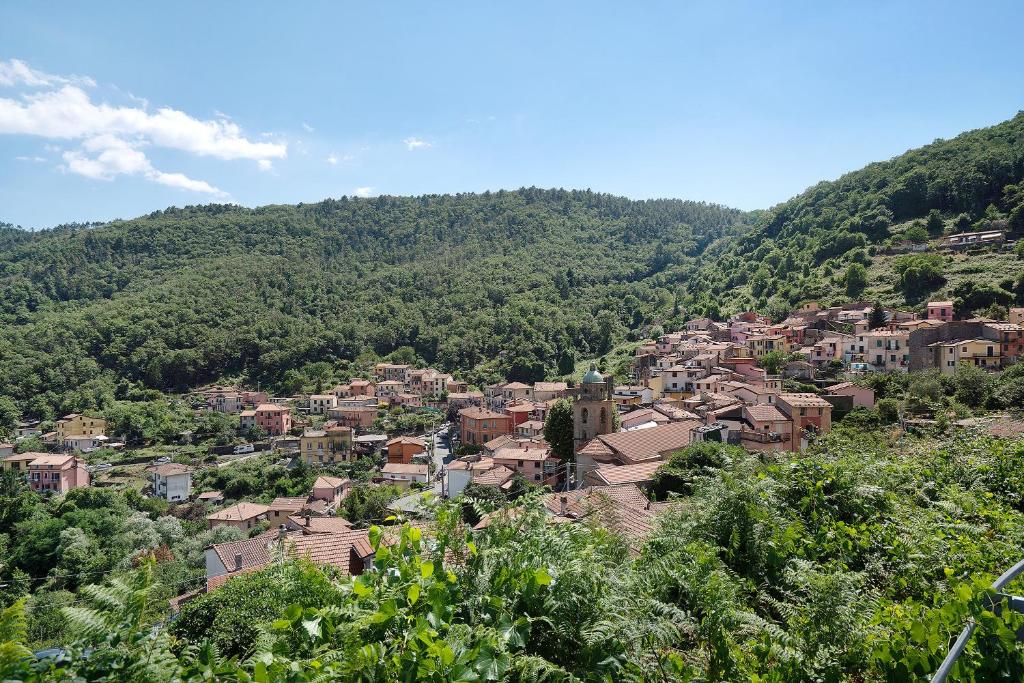 Príroda v okolí apartmánu