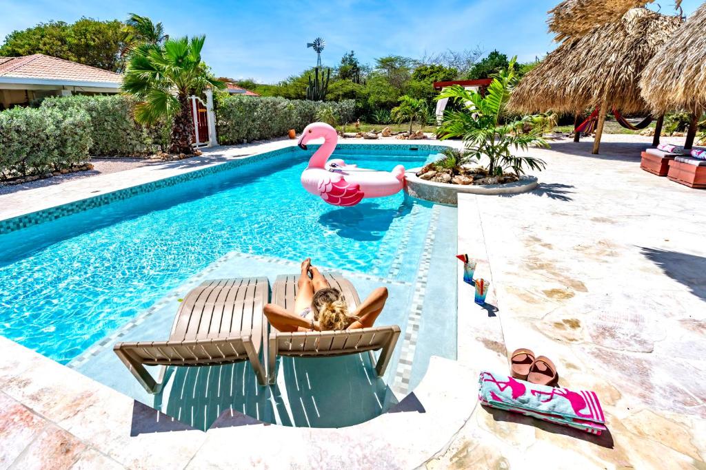 a pool with two people laying in chairs and a pink flamingo in the water at Kas Amigu accomodations in Willibrordus