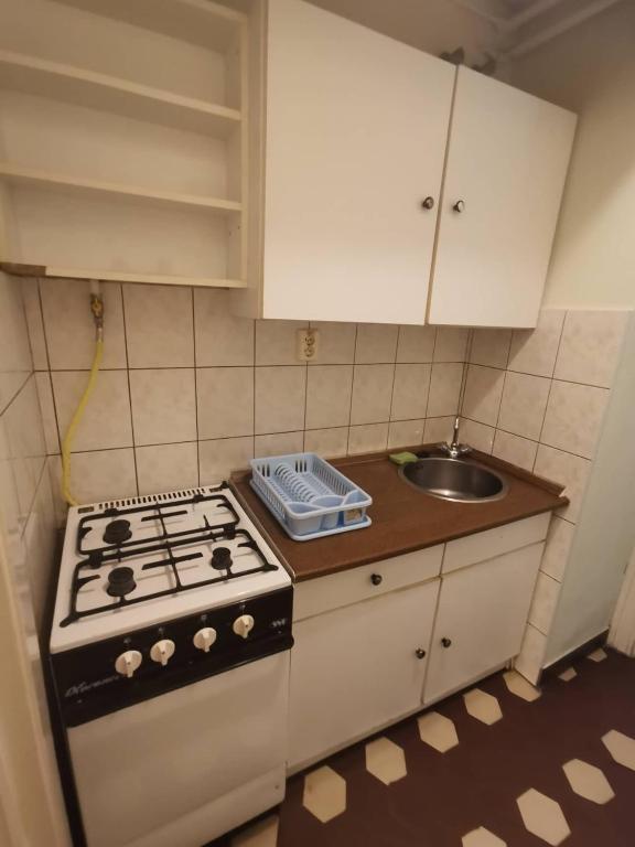 Kuchnia lub aneks kuchenny w obiekcie Platán üdülő