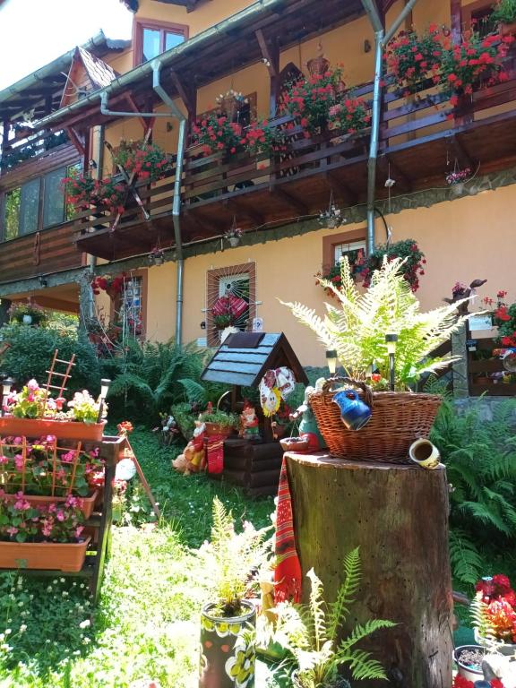 un giardino di fronte a un edificio con piante in vaso di Pensiunea Alexandra & Diego a Predeal