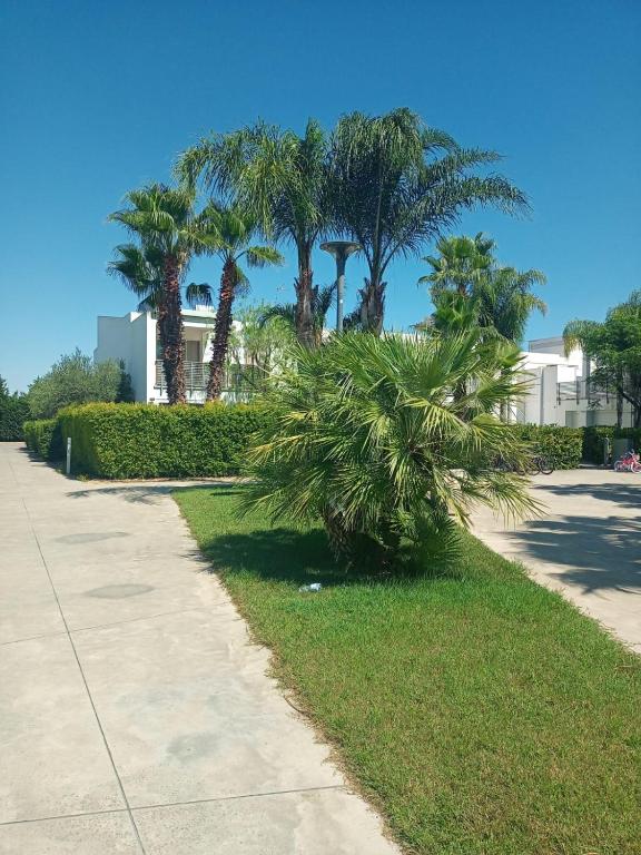 Zahrada ubytování I GIARDINI DI ZEUS