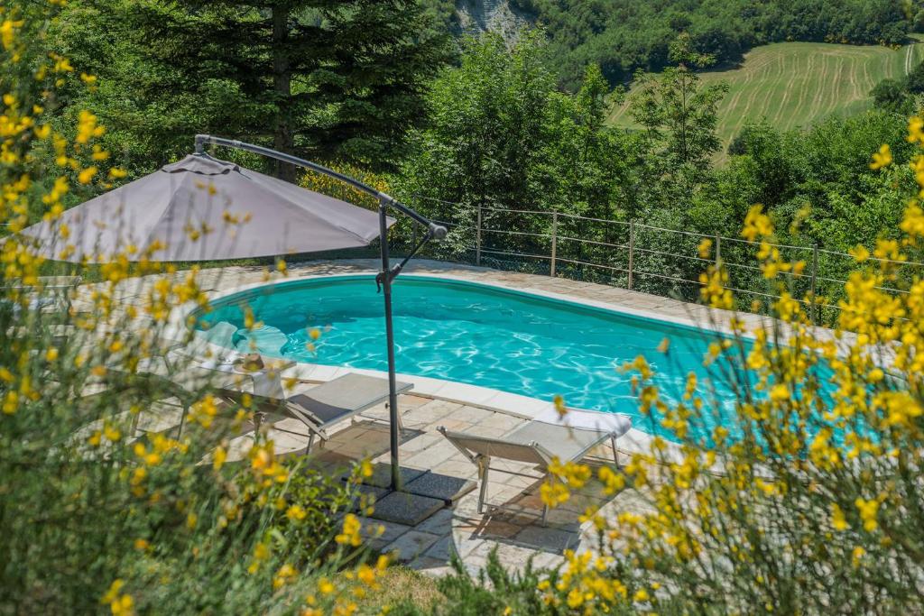 uma piscina com guarda-sol e cadeiras em Villa Petra em Acqualagna