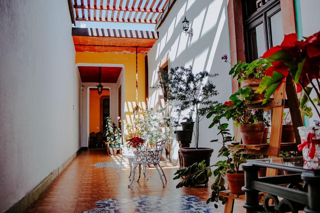 un couloir rempli de nombreuses plantes, tables et chaises dans l'établissement GRAN ALCÁZAR HOTEL BOUTIQUE, à San Luis Potosí